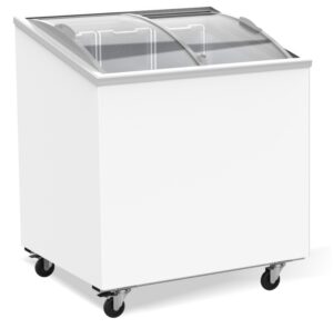 Tiefkühltruhe mit Glasdeckel 198 L für Gastronomie und Gewerbe