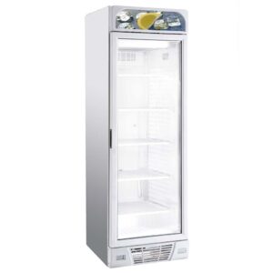 TIEFKÜHLSCHRANK 1 GLASTÜR 382L