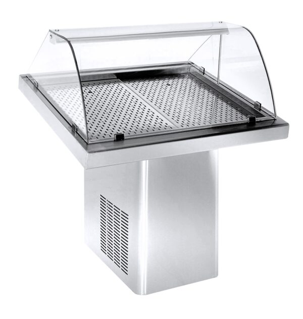 GEKÜHLTE FISCH VITRINE 1.0