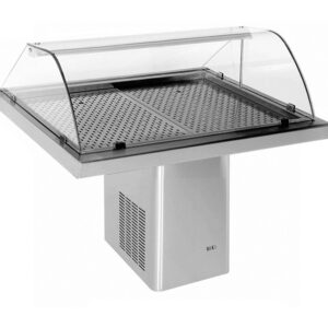 GEKÜHLTE FISCH VITRINE 1.4
