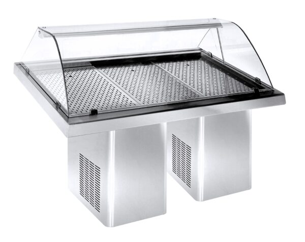 GEKÜHLTE FISCH VITRINE 1.9