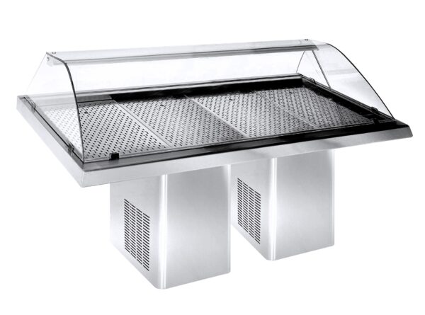 GEKÜHLTE FISCH VITRINE 2.3