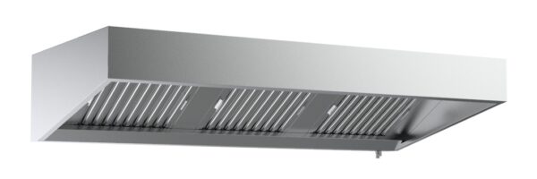 1100 WANDHAUBEN 2000