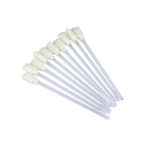 Evolis Reinigungs Stifte für Thermal-Druckkopf Evolis (25 Stk)