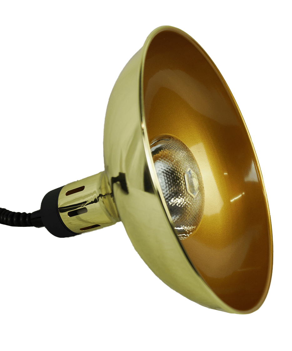 Die Combisteel Wärmelampe CH-03 Gold hält Speisen im Temperaturbereich von 30 bis 80 °C warm und ist für den professionellen Einsatz geeignet.