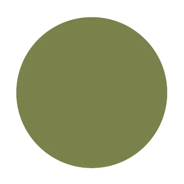 Farbmuster Green Olive