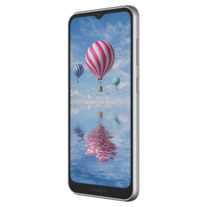 Bluebird SF650, 16,5 cm (6,5''), GPS, USB-C, BT (BLE, 5.1), WLAN, 4G, NFC, Android, GMS, RB