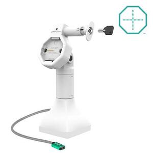 RAM Mounts GDS Uni-Conn Stand-Ladestation (7 Zoll) - Dreh- & Schwenkbar - abschliebar (Schlüssel) - USB-C-Anschluss - hellgrau